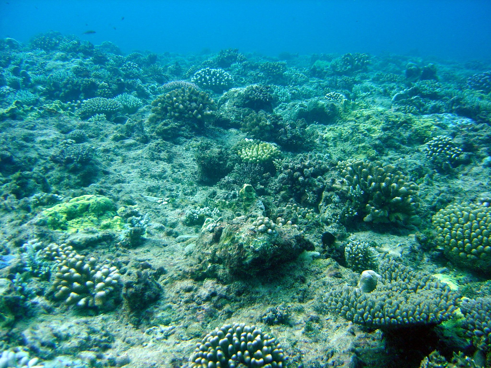 Остров Сайпан K1HP/KH0 Остров Сайпан K1HP/KH0